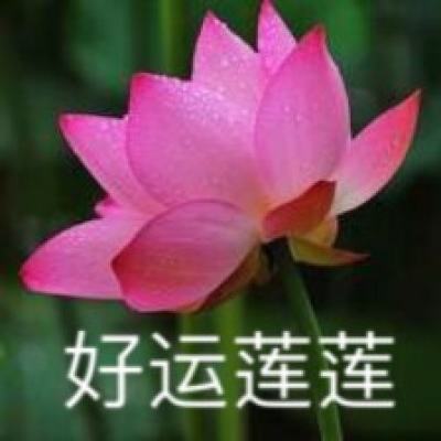 百战无上手游正版下载